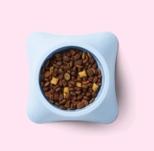 Small dog dish